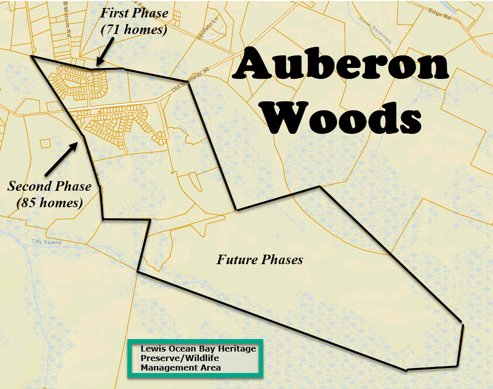 Auberon Woods by D. R. Horton